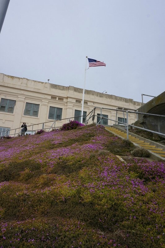 Alcatraz 59