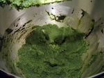 DSCF0263