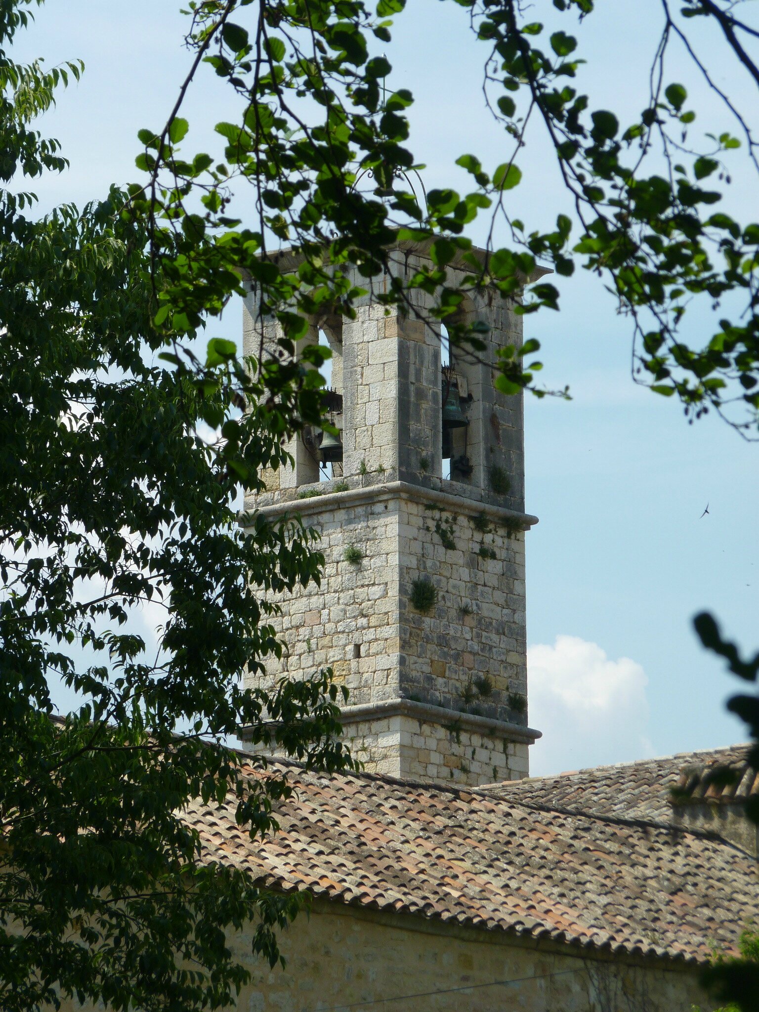 P1060897
