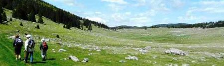 Printemps en Vercors - darbounouse