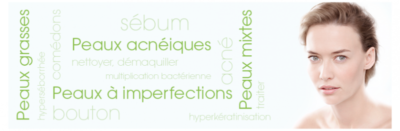 Image provenant du site Bioderma : http://www.bioderma.fr/fr/votre-peau/peau-mixte-grasse-imperfections