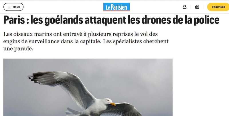 Drones contre goelands