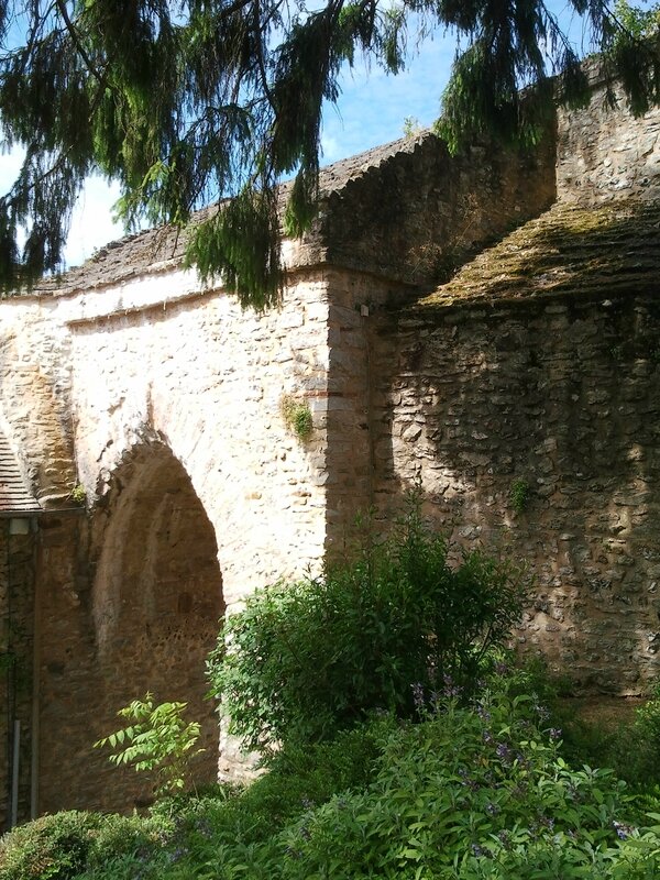 Photo0821