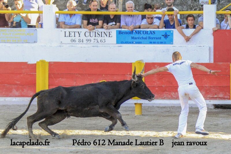 57 - photos finale des charetiers a rognonas le 21 09 201420140923006875