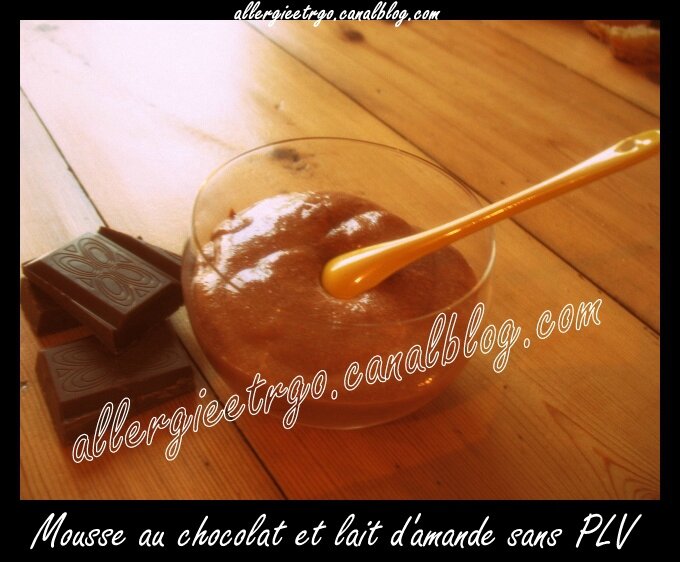 Mousse au chocolat1