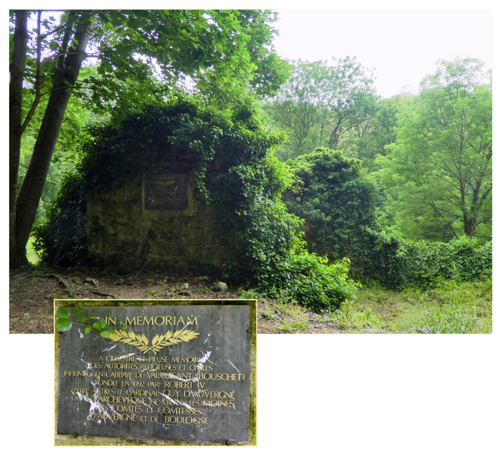 ruines de l'abbaye du Bouschet