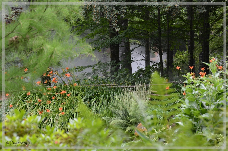 PUY_5952