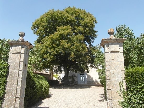 arbre remarquable