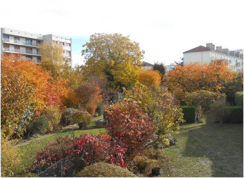 automne2