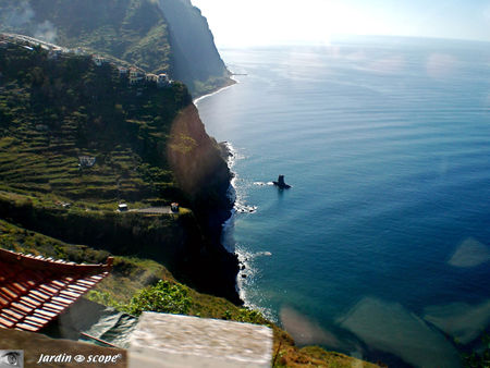 8772_Ribeira_Brava