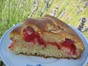 Gâteau aux prunes rougeâtres sauvages de juillet 011