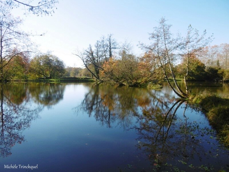 Etangs des Gravières 141117