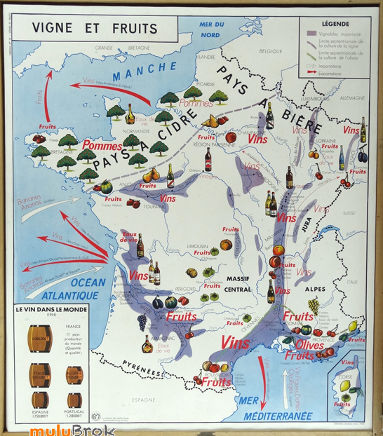 Carte-géographique-VIGNE-FRUITS-4-muluBrok