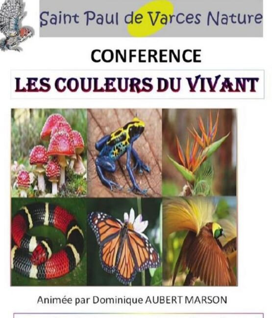 confrence