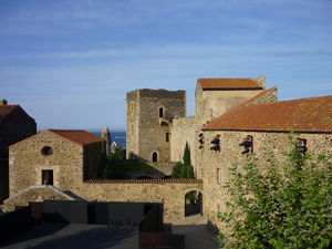 P1020813