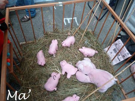 peche_cochons_121021