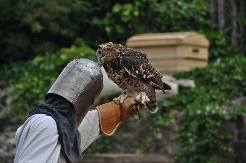 Puy du Fou 2011 - 5165