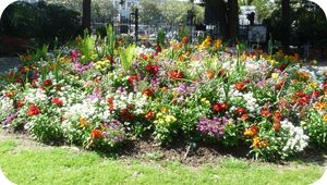 jardin_des_plantes_1