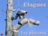 Diapositive53