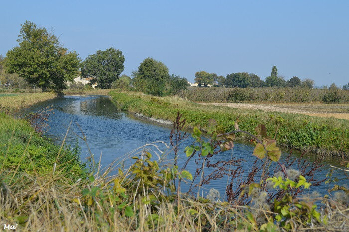 181021_canal_bourne_1