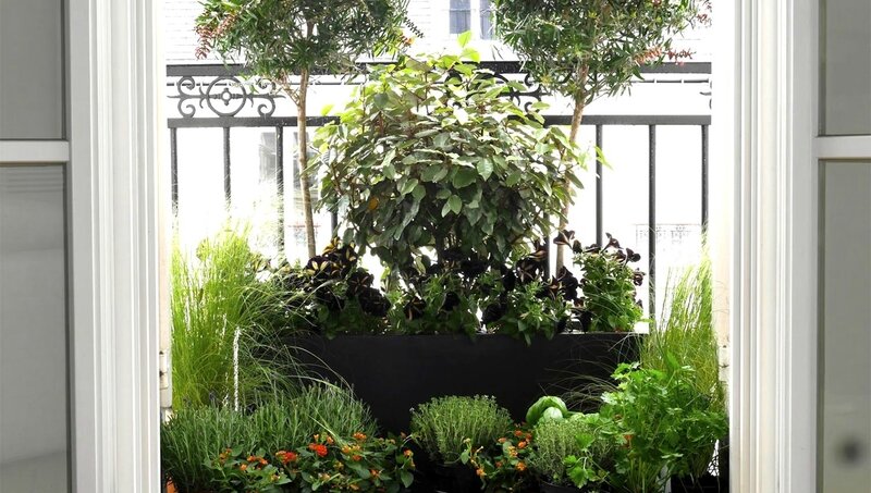 urbangreen-terrasse-balcon-paysagiste_101