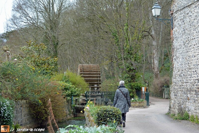 4611-Sentier-des-Moulins-de-Veules-les-Roses