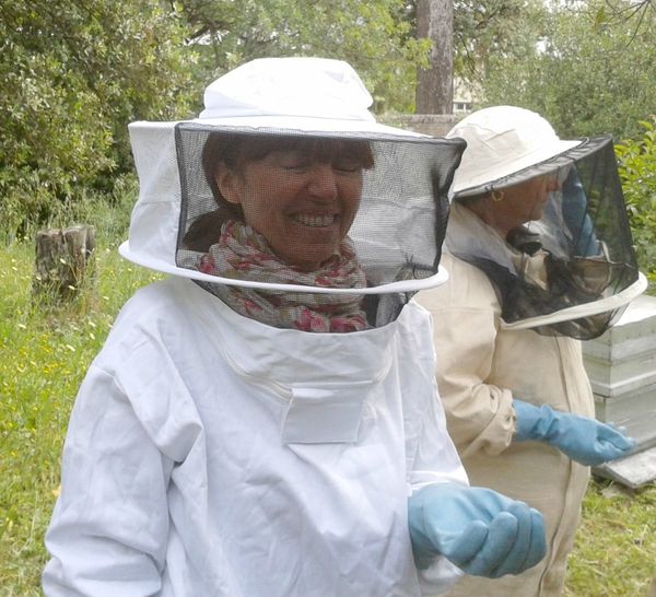 formation abeilles