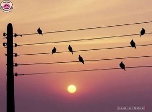 note_de_musique_oiseaux