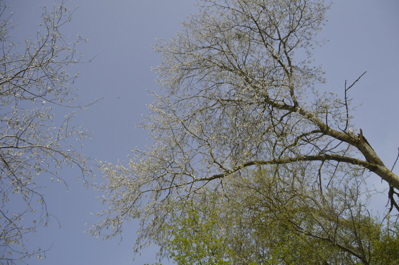 _DSC0092