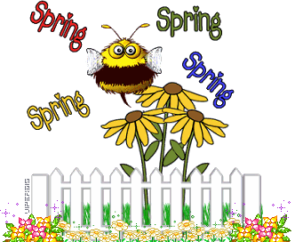 spring bee
