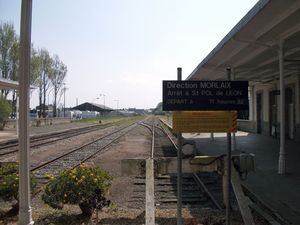 DSCF1453
