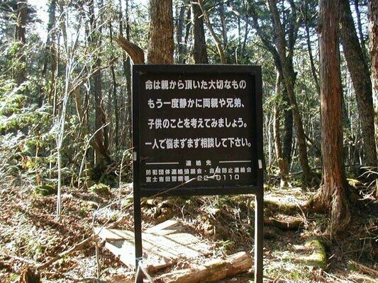 La forêt d'Aokigahara 3 - Blog ésotérique Samhain Sabbath