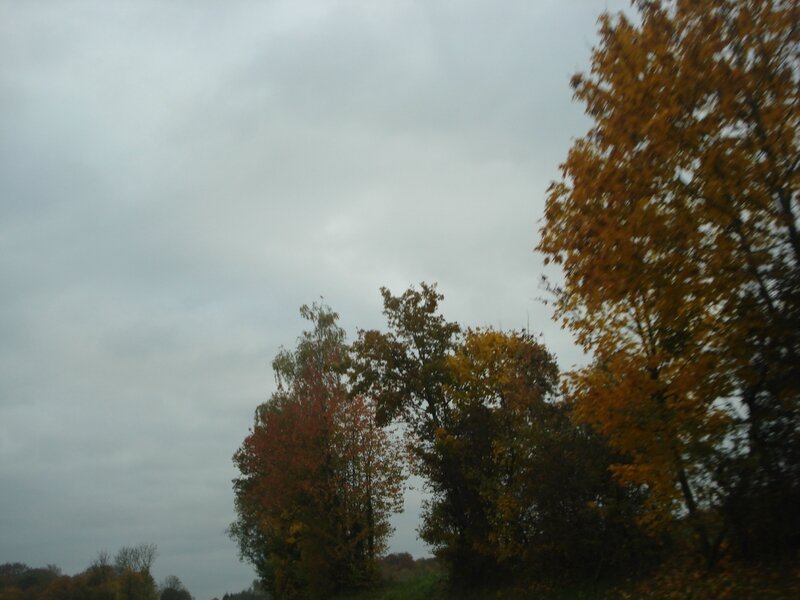 DSC08760