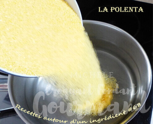 recettes-autour-dun-ingredient-68-la-polenta-ragout-saucisse-poulet-et-sa-polenta-p1090328-495x400