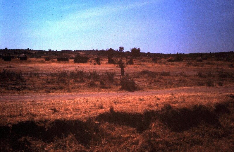 tanzanie 28