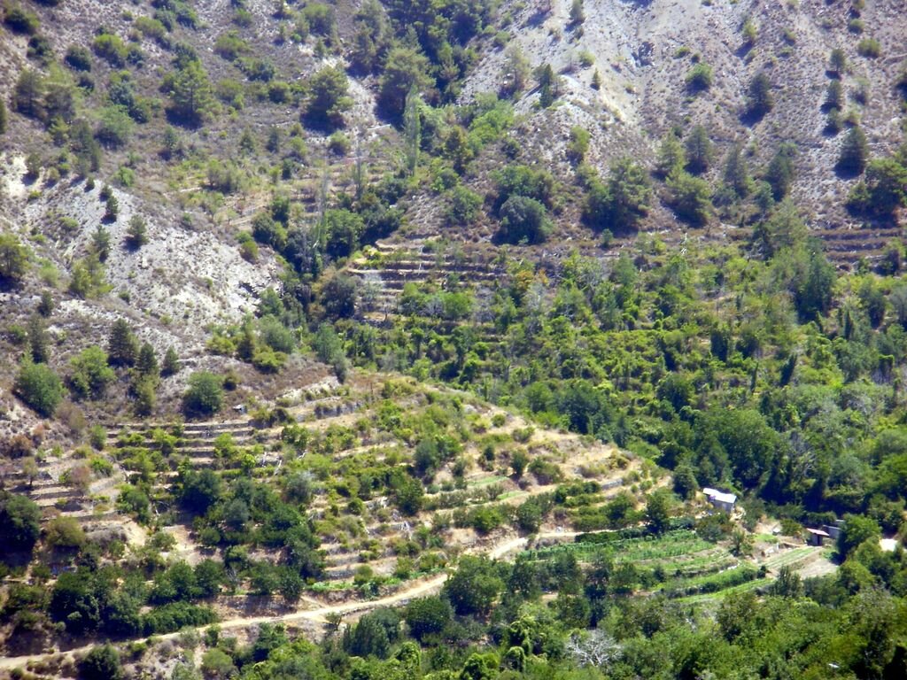 P7300139