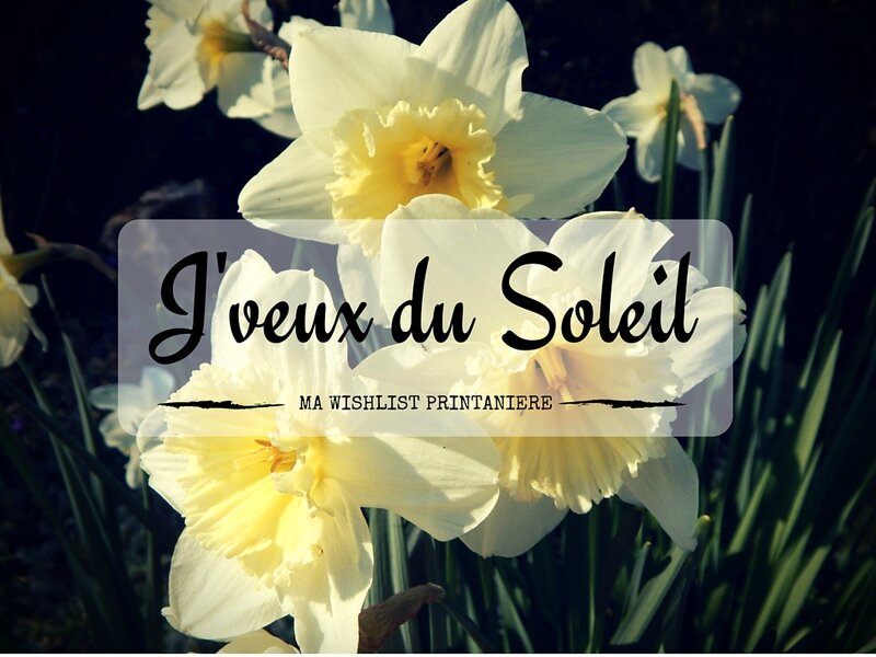 J'veux du Soleil