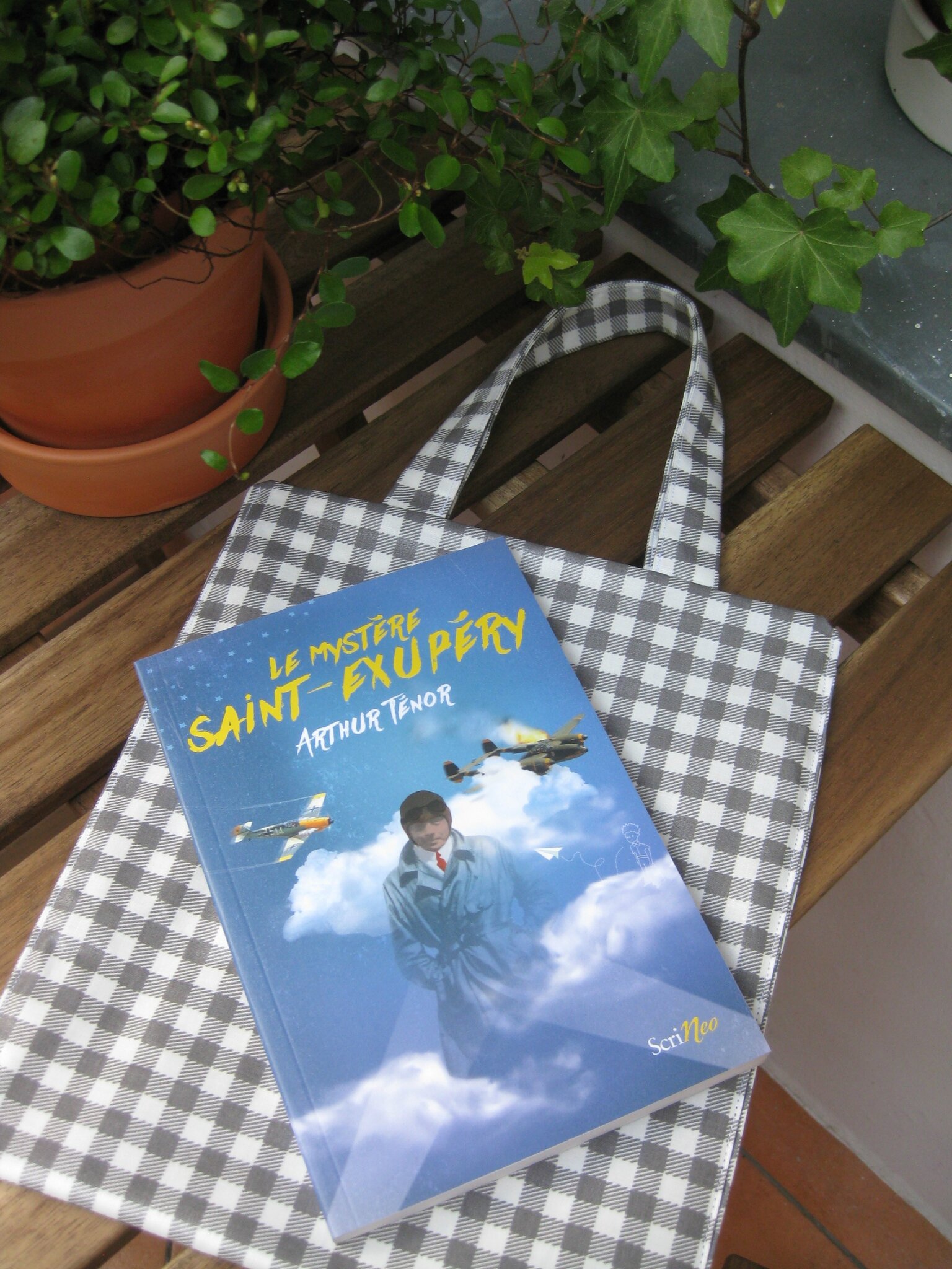 Carreaux gris + Le Mystère Saint Exupéry