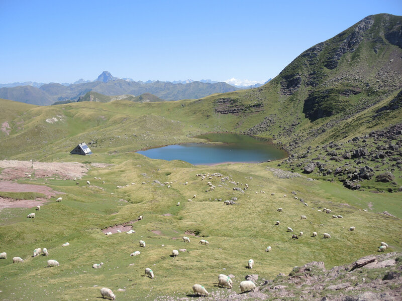 K) Lac d'Arlet, lac, refuge, pic du Midi d'Ossau et brebis (64)