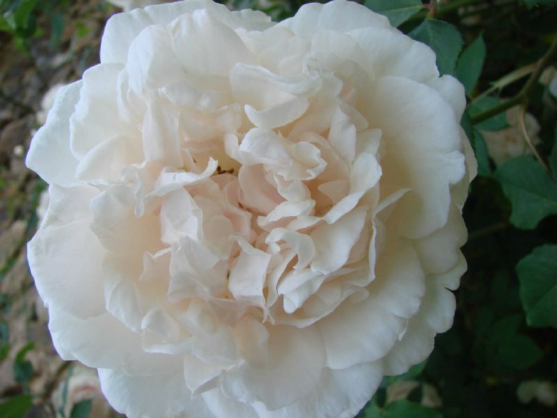 92