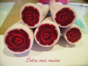 rose_rouge_apr_s