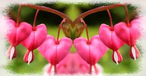 Coeur_de_Marie_3