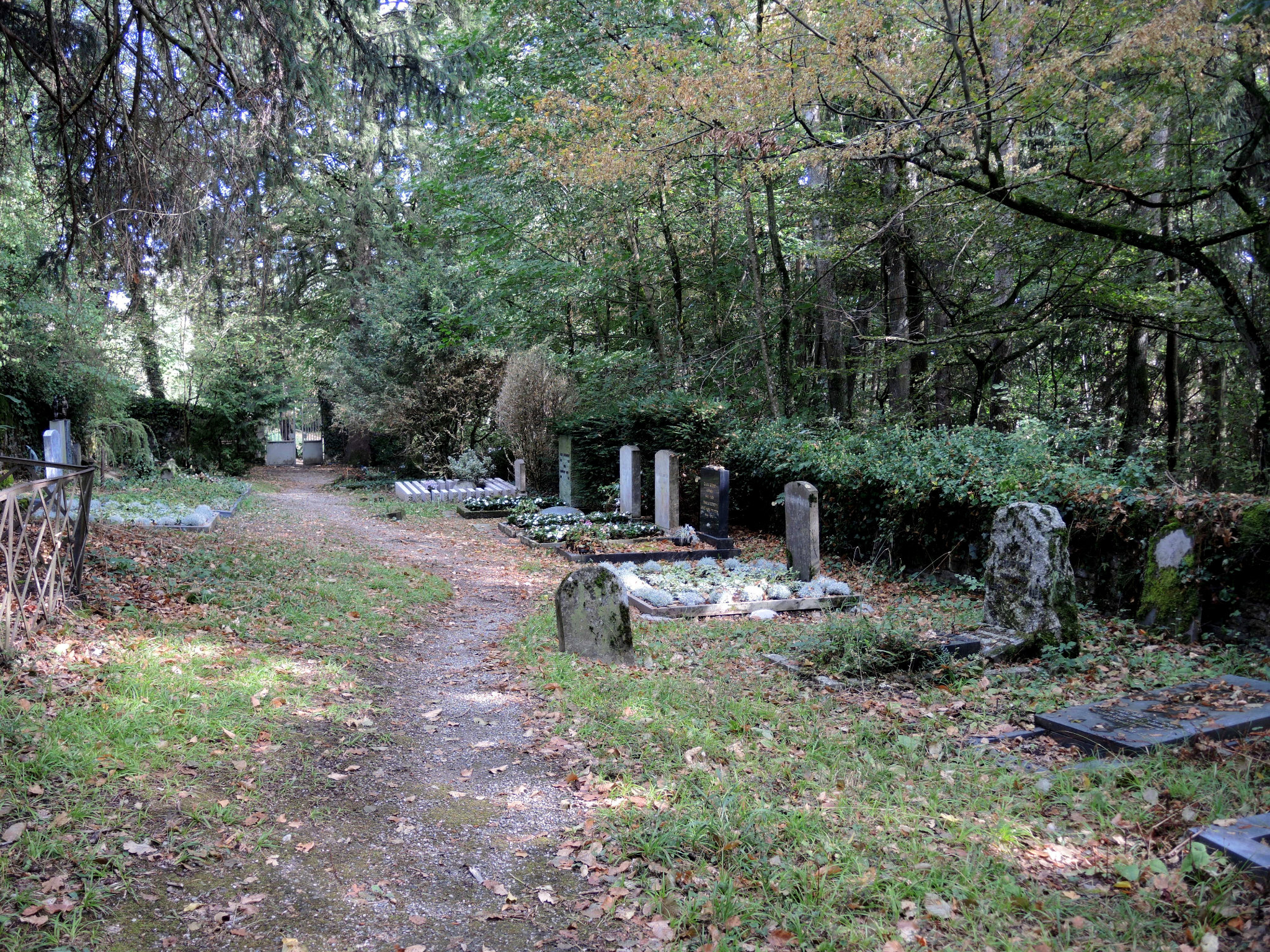 Céligny, le vieux cimetière, vue générale