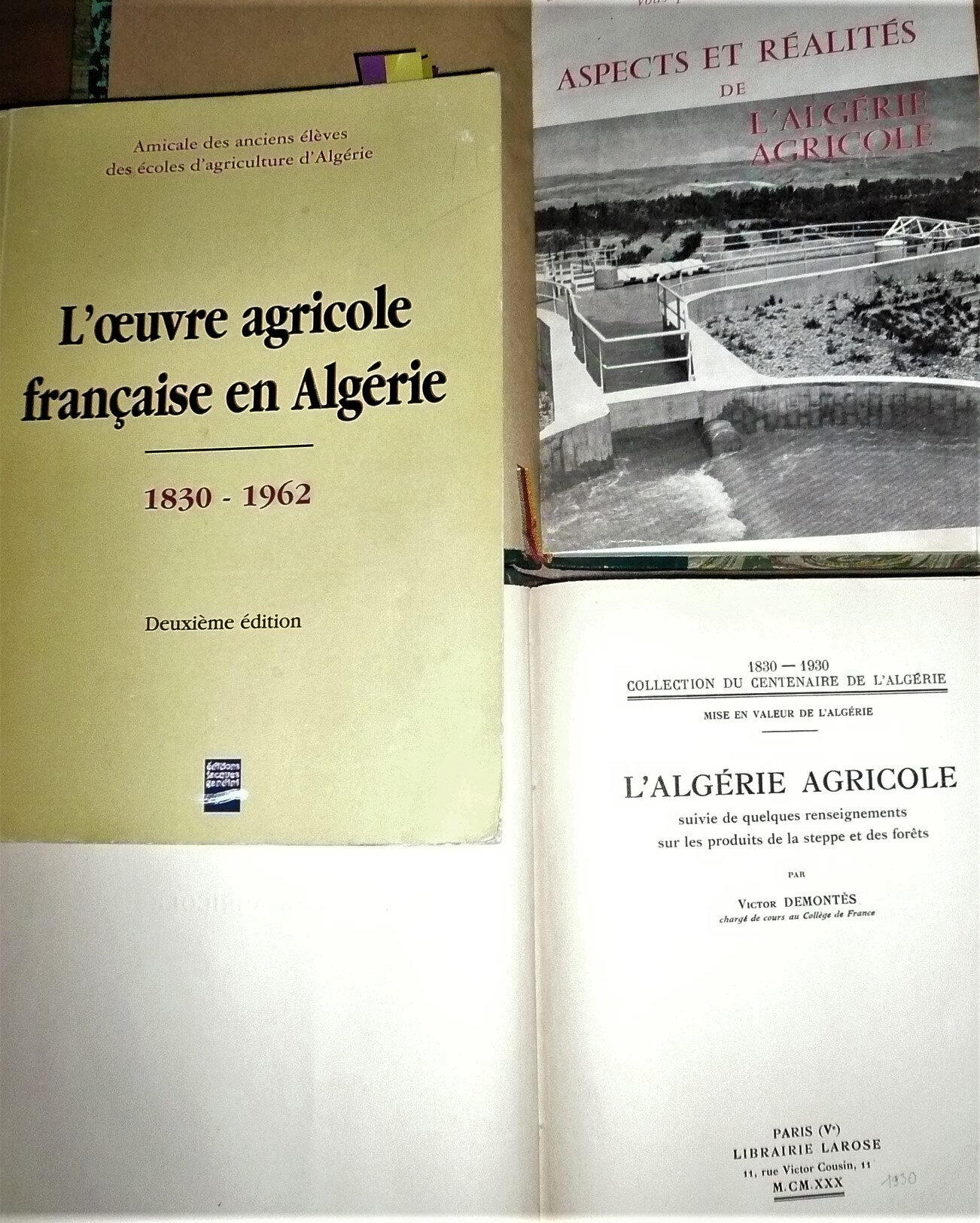 P1050328