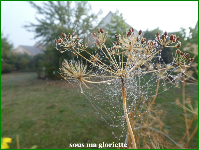 automne2