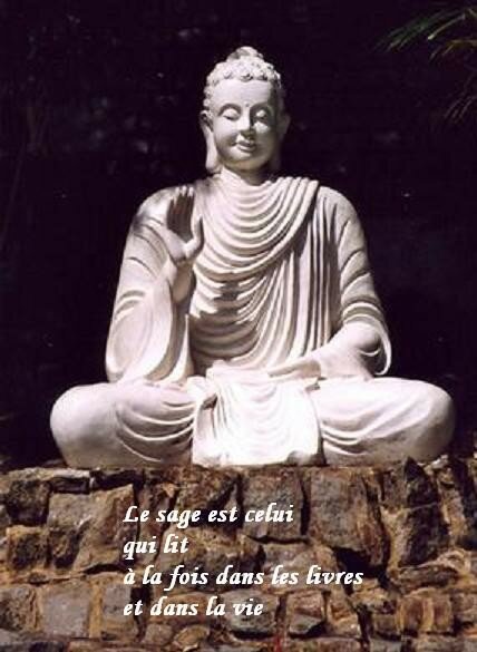 bouddha_statue_sage_sagesse