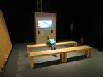 Expo