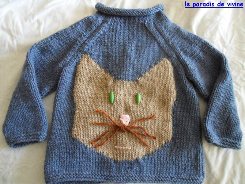 pull chat 2- 3ans 004