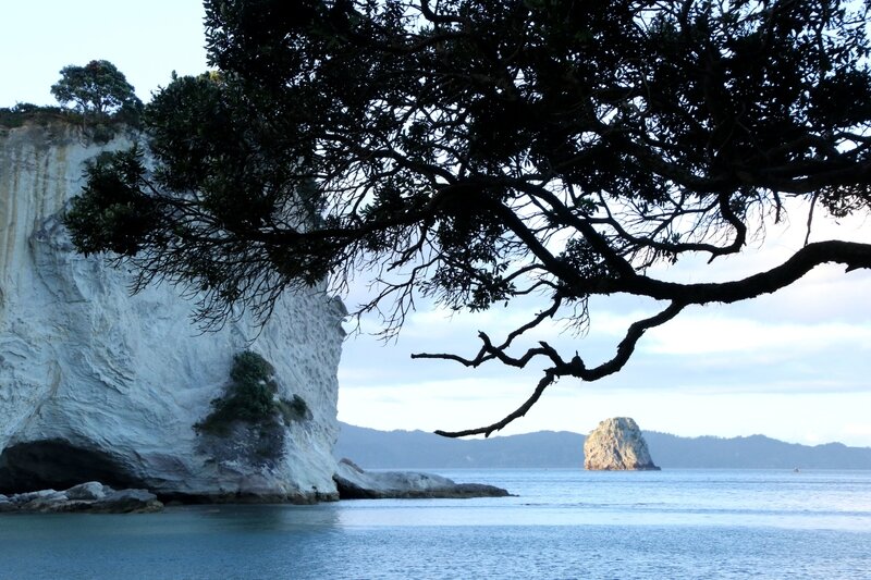 4W7A7691 Hahei Cathedrale Cove - Stingray Bay