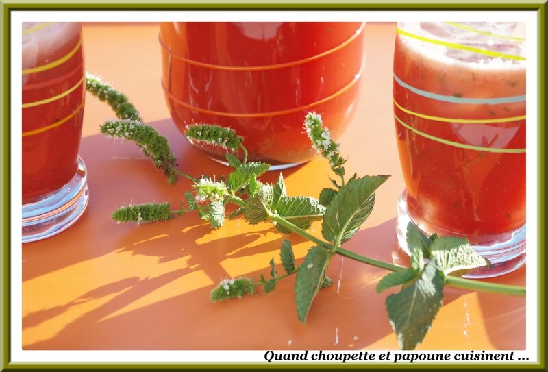 jus de pastèque et menthe fraiche-5190